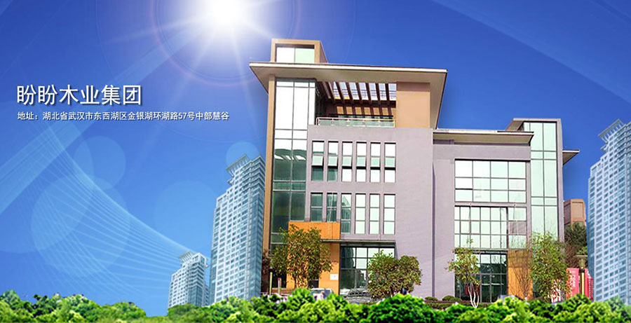 盼盼木门怎么代理 盼盼木门加盟要多少钱