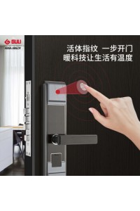 GULI 固力指纹锁 防盗门用智能锁指纹密码电子门锁