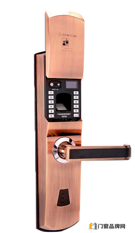 智能门锁-指纹电子锁-防盗大门密码锁家用AJ1021-01 