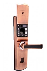 智能门锁-指纹电子锁-防盗大门密码锁家用AJ1021-01